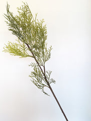 42" Faux Cedar Branch - Beaudry Flowers