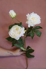 Faux Peony Stem - Beaudry Flowers