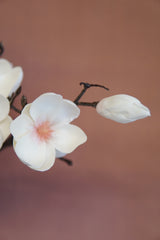 Faux Magnolia Branch Stem - Beaudry Flowers