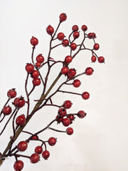 Decorative Red Faux Berries - Beaudry Flowers