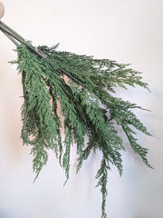 36" Faux Cedar Branch Bundle - Beaudry Flowers
