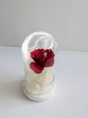 Belle's Dried Flower Dome - Beaudry Flowers