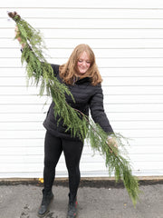 75" Faux Pine Garland - Beaudry Flowers